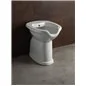 VASO BIDET PER DISABILI CON EROGATORE
