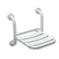 SEDILE DA BAGNO RIBALTABILE STANDARD IN ACCIAIO VERNICIATO