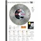 DISCO DIAMANTATO PROFESSIONALE BI-ACTION