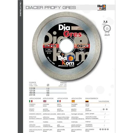 DISCO DIAMANTATO DIACER PROFY GRES