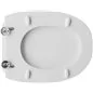 COPRIWATER MODELLO ZEUS DI CERAMICHE AZZURRA COPRIWATER MODELLO ZEUS DI CERAMICHE AZZURRA