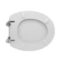 copy of COPRIWATER MODELLO POLIS DI CERAMICHE CATALANO