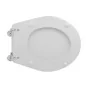 copy of COPRIWATER MODELLO FISH DI CERAMICHE FALERI