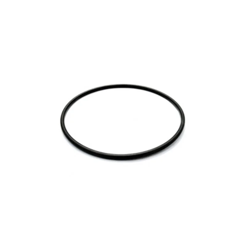 O-RING PER FILTRO DEPURAL