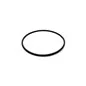 O-RING PER FILTRO DEPURAL