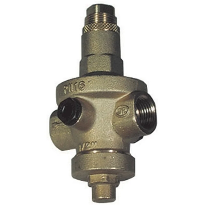 RIDUTTORE DI PRESSIONE RIO EXPORT SEDE IN ACCIAIO INOX FF PN16 OR