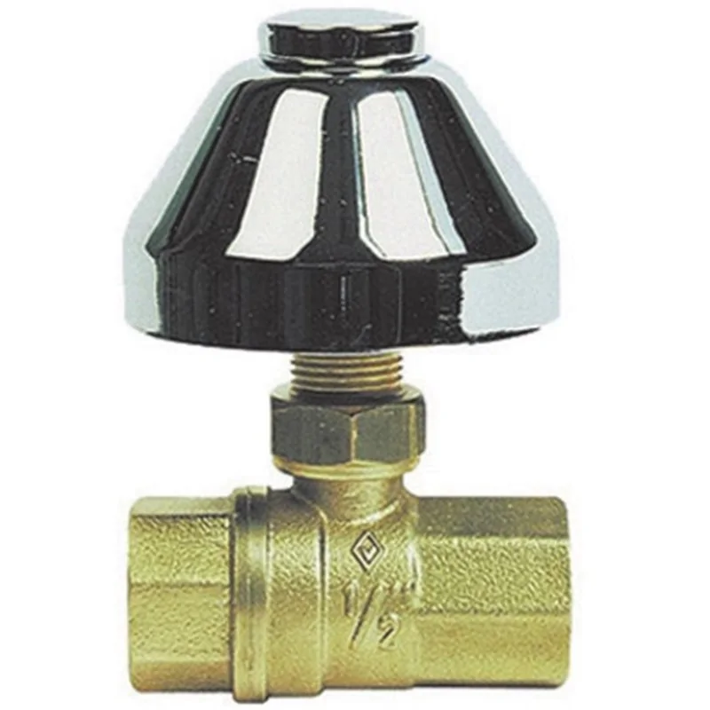 ARRESTO A INCASSO CON CAPPUCCIO ITAP