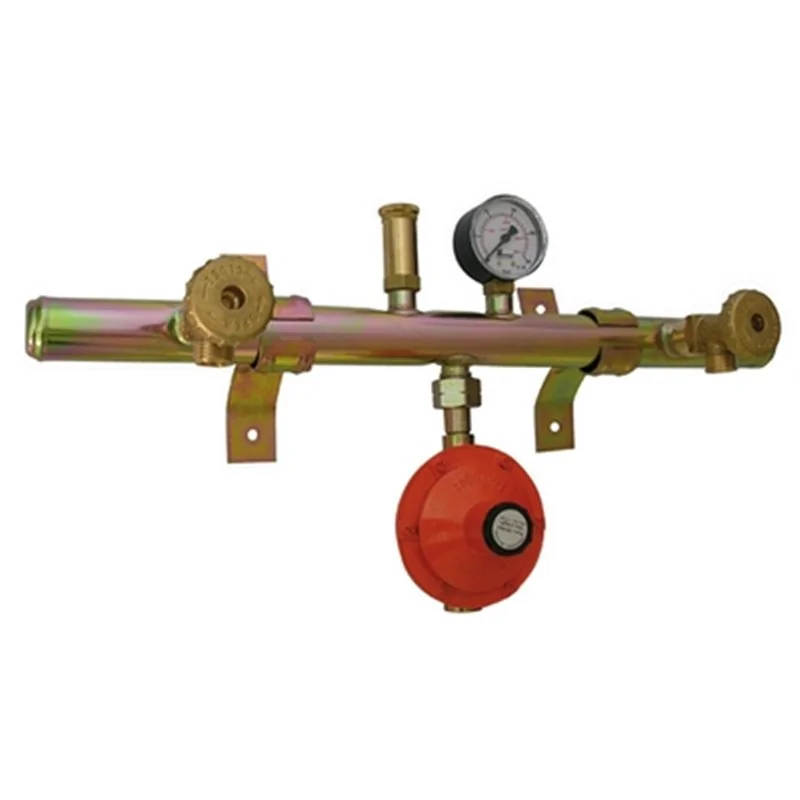 CENTRALINA GAS 2 ELEMENTI CON REGOLATORE