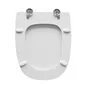 COPRIWATER IN LEGNO MODELLO DAMA DI CERAMICHE ROCA