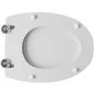 COPRIWATER MODELLO TONDA DI CERAMICHE IDEAL STANDARD