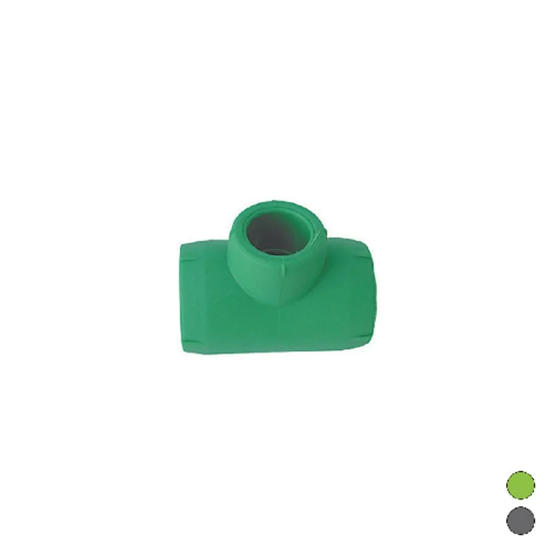 T RIDOTTA PPR DIANHYDRO