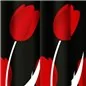 TENDA PER DOCCIA 2 LATI IN TESSUTO CM 180 X 200 MODELLO TULIPANO ROSSO