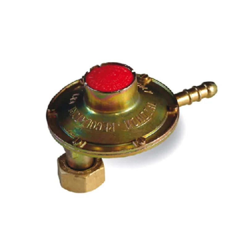 REGOLATORE BOMBOLA BASSA PRESSIONE CON ATTACCO VERTICALE 1 KG/H GNALI BOCIA