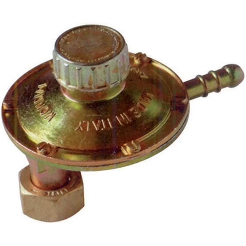 REGOLATORE GAS PER BOMBOLA CON TARTAURA ATTACCO VERTICALE 1 KG/H GNALI BOCIA