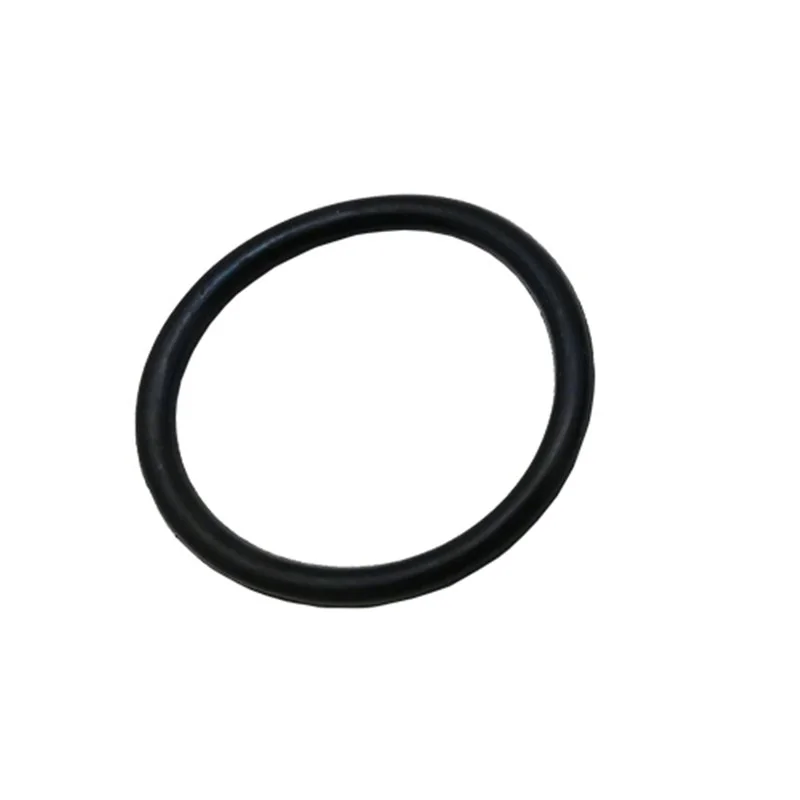 GUARNIZIONE RESISTENZA PER SCALDABAGNO ATON A VITE