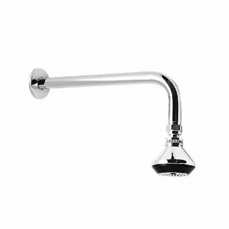 BRACCIO DOCCIA CON SOFFIONE