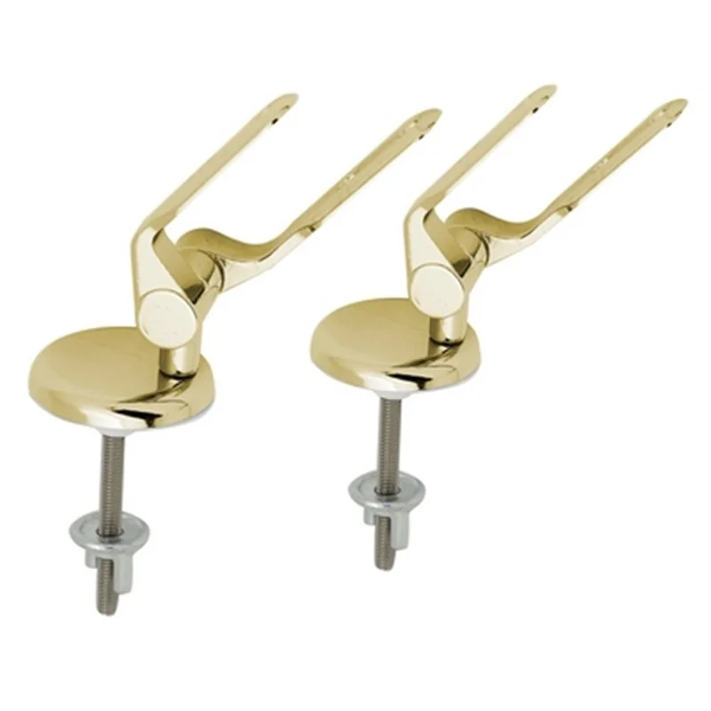 COPPIA CERNIERE DORATE