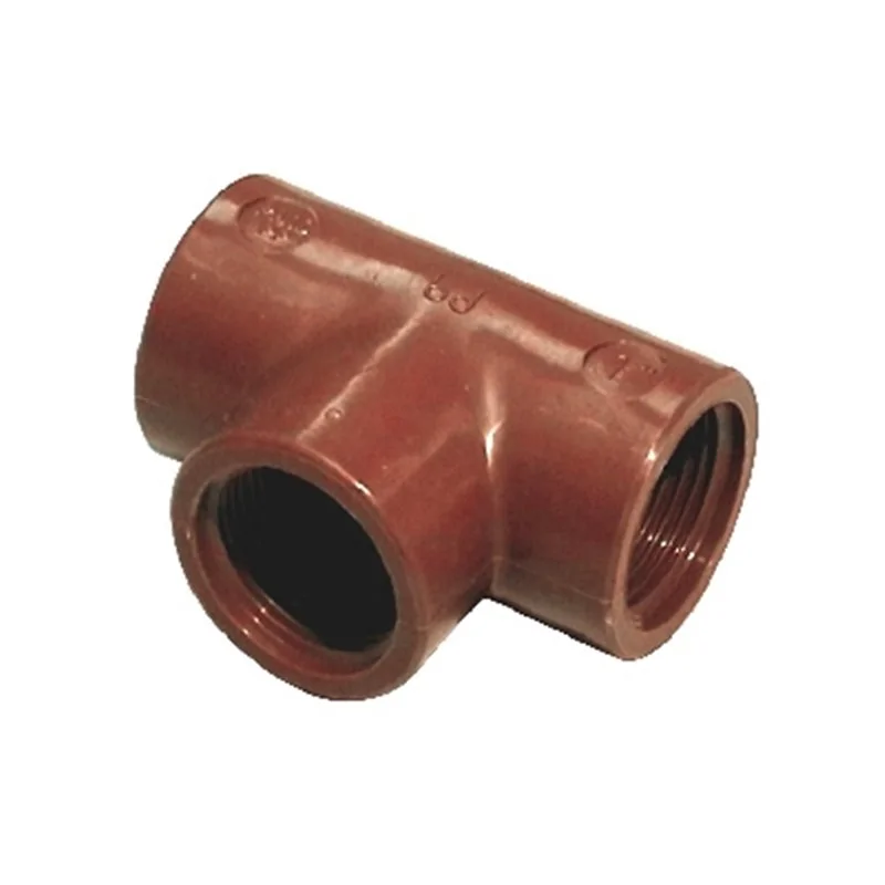 T IN PP MARRONE BUCCHI