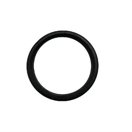 GUARNIZIONE 2 LABBRA PER TUBO DI CACCIATA TROPEA S VALSIR