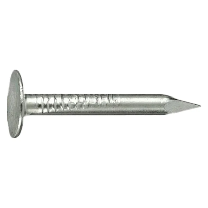 CHIODI TESTA PIANA LARGHISSIMA