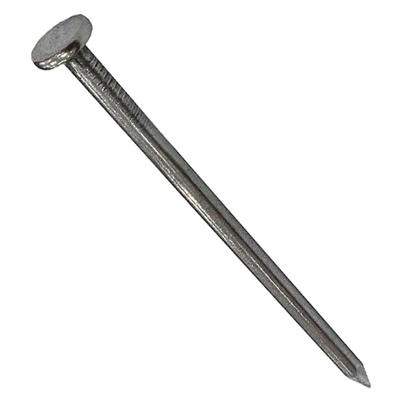 CHIODI TESTA PIANA IN BLISTER