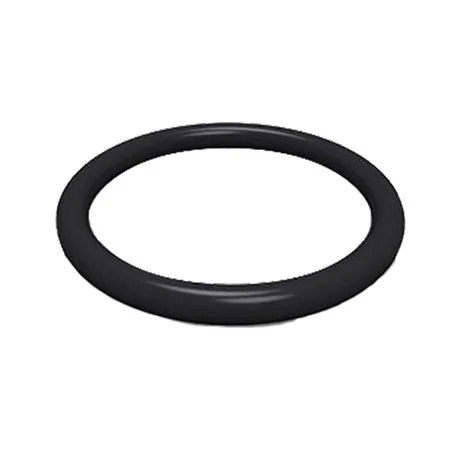 O-RING PER IDROPULITRICI PER NIPLES M20 x 2