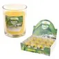 CANDELA ALLA CITRONELLA CM 6,2 x 5