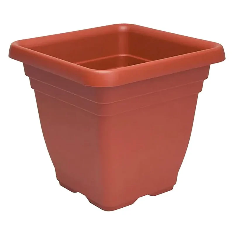 FIORIERA QUADRA 'LAURUS'