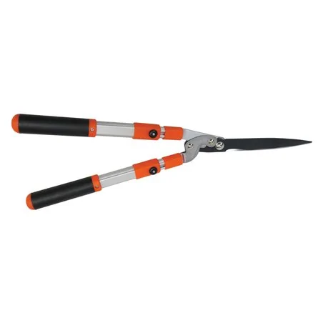 CESOIA CON MANICO TELESCOPICO