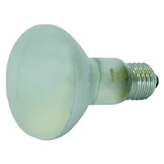 LAMPADA A FUNGO