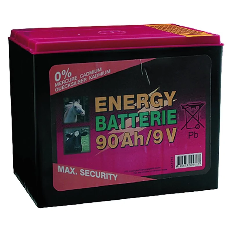 BATTERIA PER ELETTRIFICATORE ZINCO CARBONE