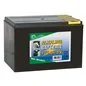 BATTERIA PER ELETTRIFICATORE ALCALINA