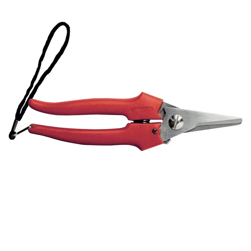 FORBICI COGLIUVA ART 31327