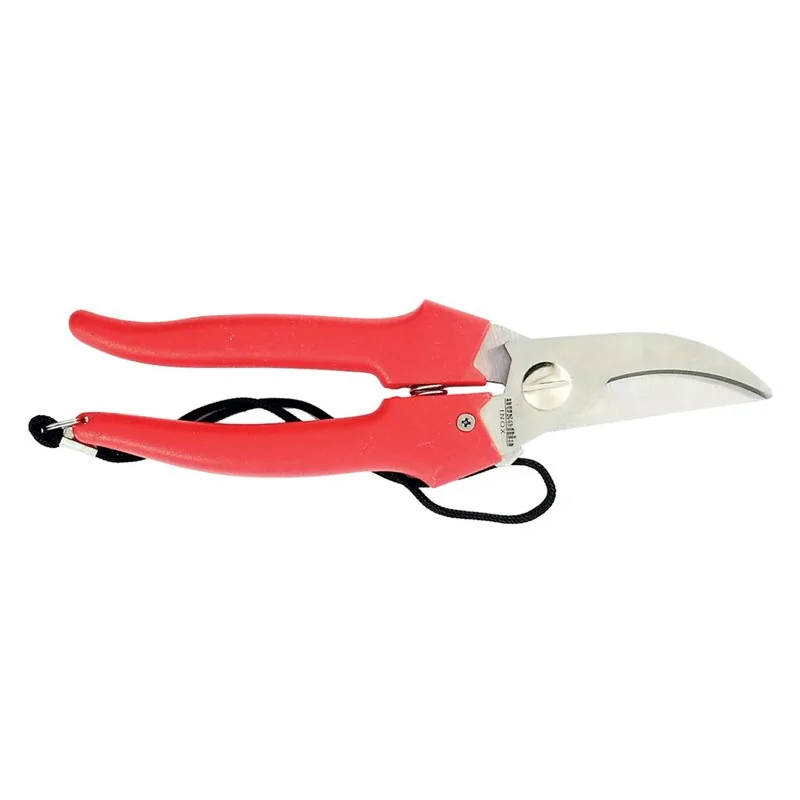 FORBICI COGLIUVA ART 35031