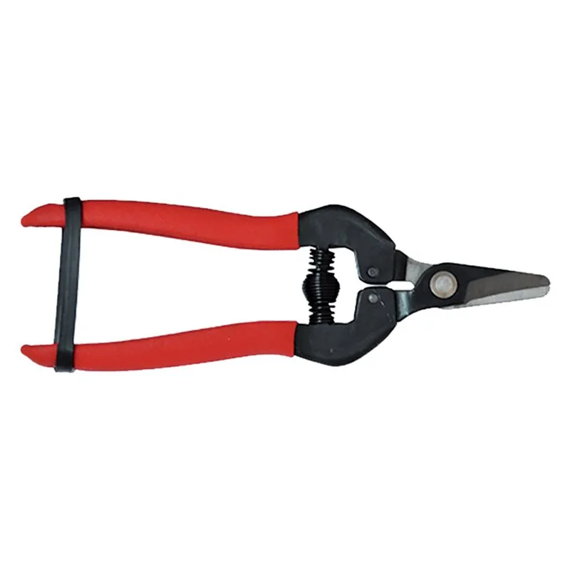 FORBICI COGLIUVA RIVESTITA TEFLON