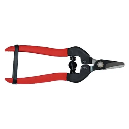 FORBICI COGLIUVA RIVESTITA TEFLON