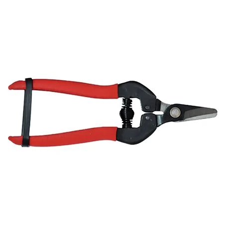 FORBICI COGLIUVA IN BLISTER