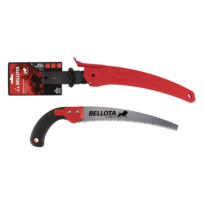 SEGACCIO DA POTA BELLOTA