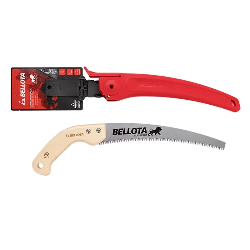 SEGACCIO DA POTA 'LION'