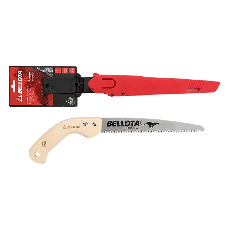 SEGACCIO DA POTA LAMA DRITTA BELLOTA