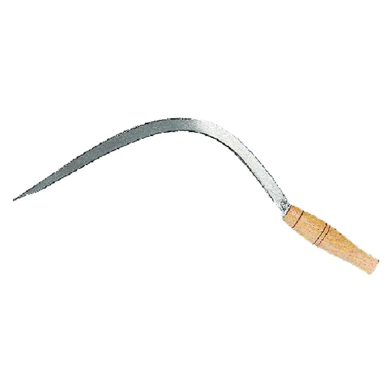 FALCIOLA DENTATA 'SERPENTE' PUNTA RIALZATA