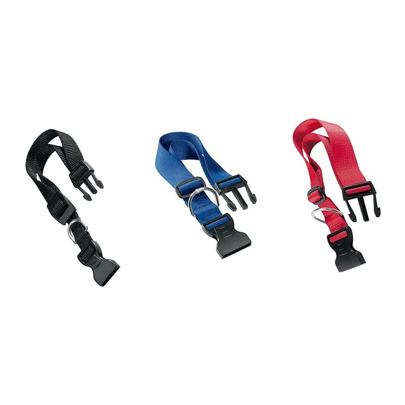 COLLARE PER CANE 'CLUB C'