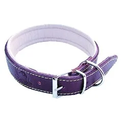 COLLARE PER CANE IMBOTTITO