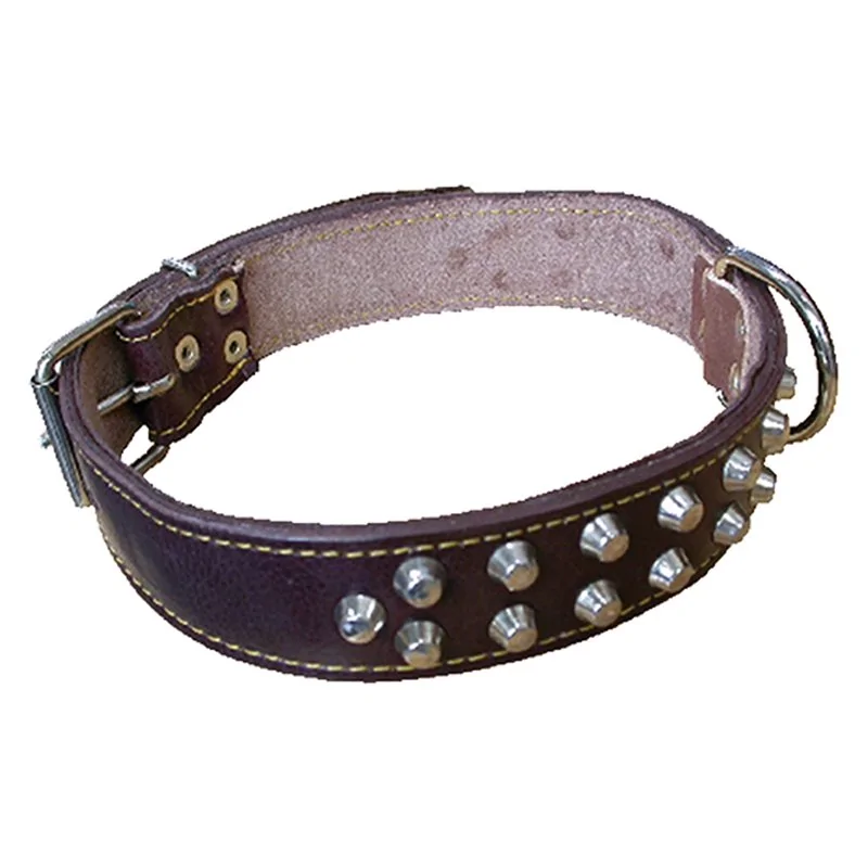 COLLARE PER CANE DUE FILE BORCHIE