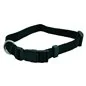 COLLARE PER CANE IN NYLON