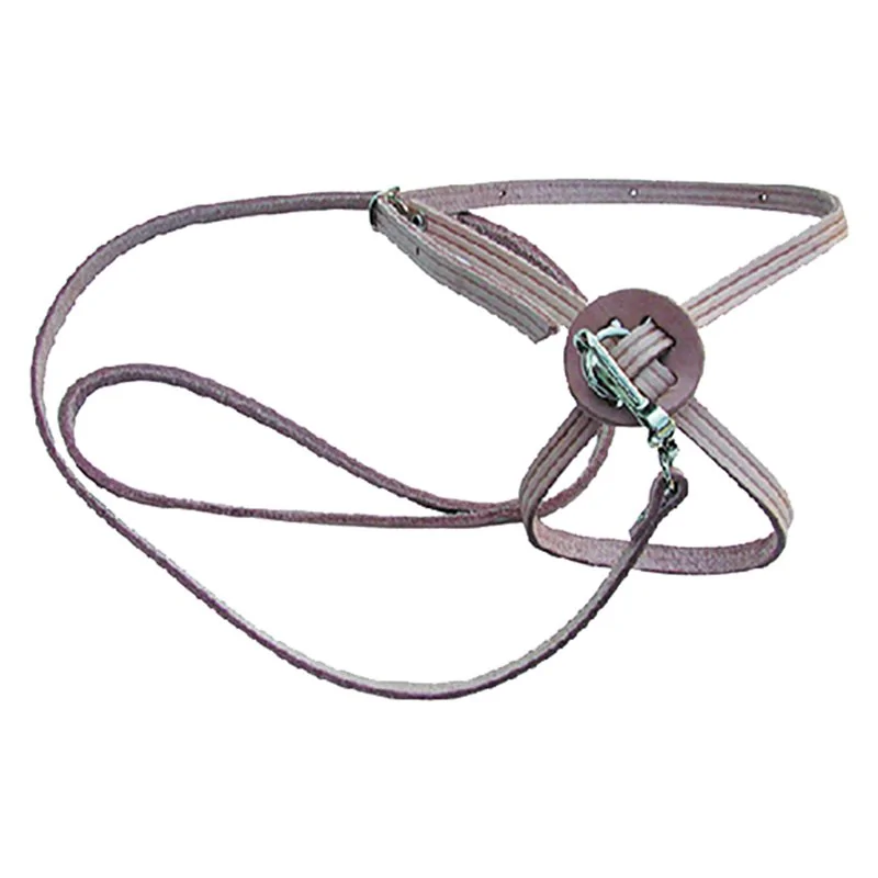 GUINZAGLIO PER CANE/GATTO CON PETTORINA