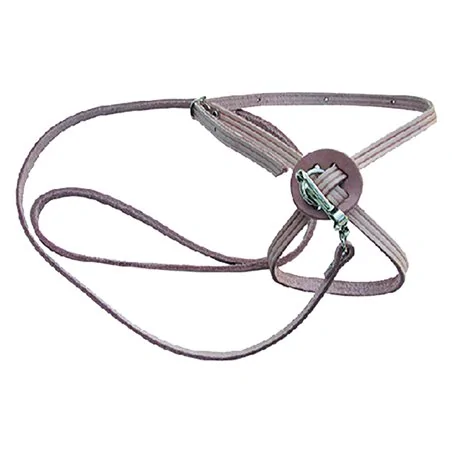 GUINZAGLIO PER CANE/GATTO CON PETTORINA