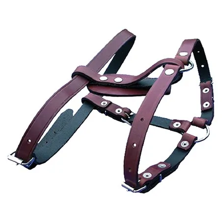 PETTORALE PER CANE 202/A REGOLABILE