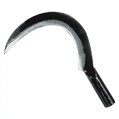 RONCOLA 'SCANSANO' LIF