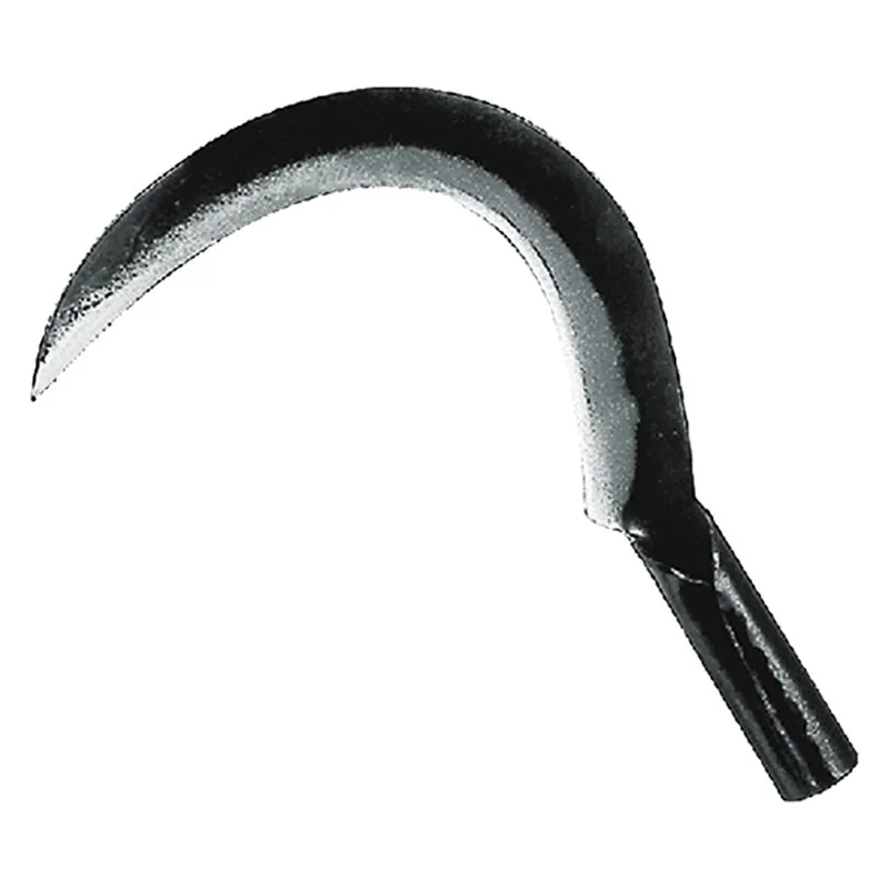 RONCOLA 'SCANSANO' LIF